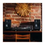 Kolonėlė Audio-Technica AT-SP3X, vaizdas 4