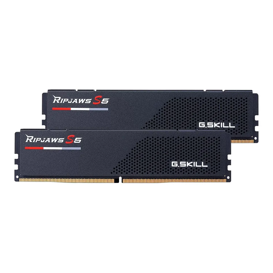G.Skill Ripjaws S5 F5-6000J3636F32GX2-RS5K memory module G.Skill Ripjaws S5 F5-6000J3636F32GX2-RS5K memory module