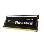 G.Skill Ripjaws F5-4800S4039A32GX2-RS memory module