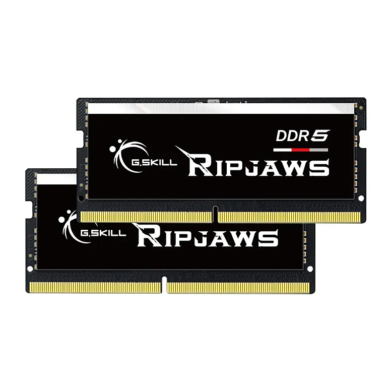 G.Skill Ripjaws F5-4800S4039A32GX2-RS memory module G.Skill Ripjaws F5-4800S4039A32GX2-RS memory module