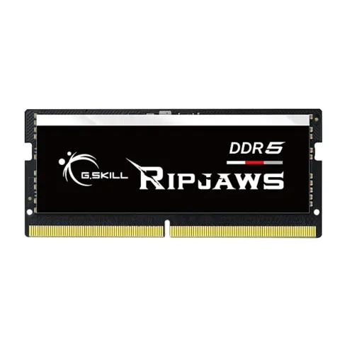 G.Skill Ripjaws F5-4800S3434A16GX1-RS memory module