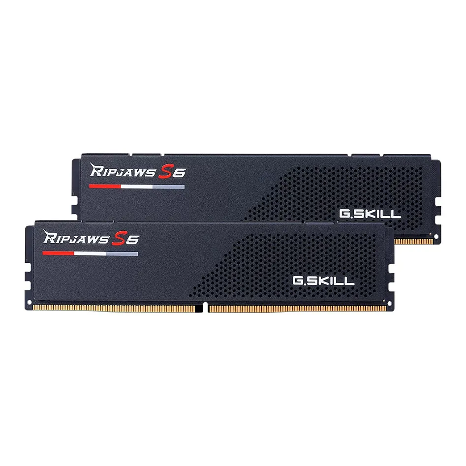 G.Skill Ripjaws S5 F5-5200J4040A24GX2-RS5K memory module G.Skill Ripjaws S5 F5-5200J4040A24GX2-RS5K memory module