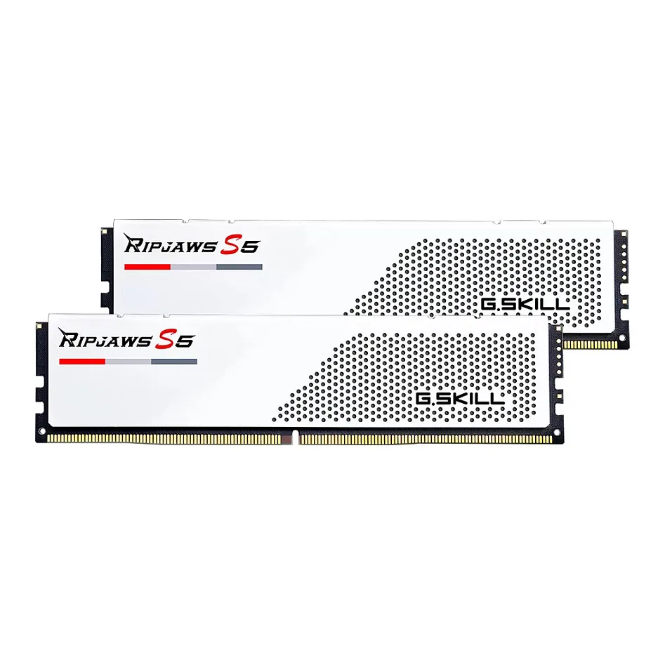 G.Skill Ripjaws S5 F5-5200J4040A48GX2-RS5W memory module G.Skill Ripjaws S5 F5-5200J4040A48GX2-RS5W memory module