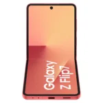 Samsung SM-F766BZRHEUB smartphone