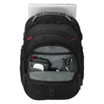 Wenger/SwissGear Pegasus Deluxe 16″