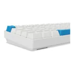 Sharkoon SGK50 S4 keyboard
