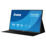Monitorius iiyama ProLite P1671HSC-B1, vaizdas 6