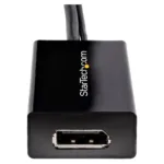 Vaizdo adapteris StarTech.com DVI2DP2, vaizdas 2