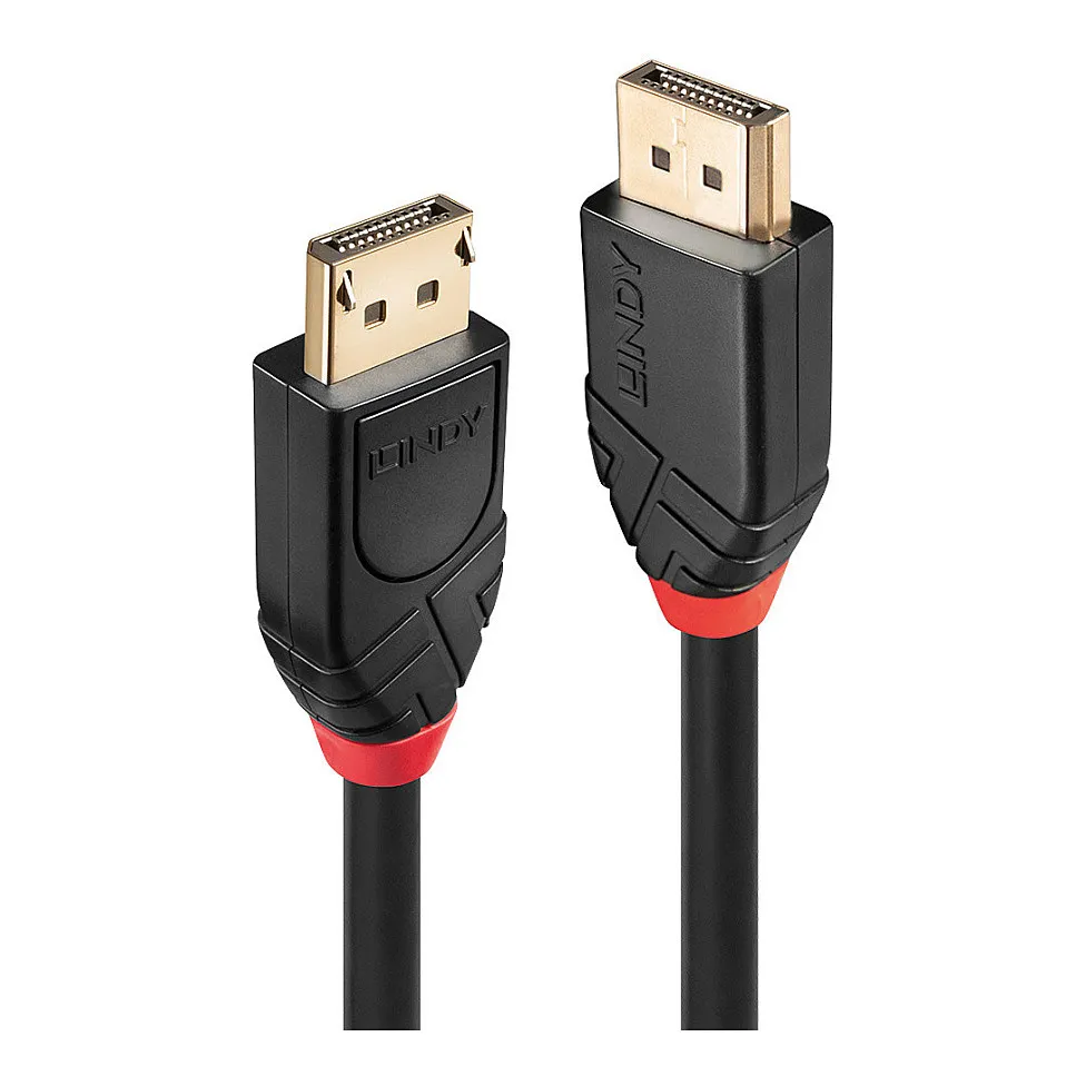 Lindy 41079 DisplayPort cable Lindy 41079 DisplayPort cable