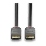 DisplayPort kabelis Lindy 36481, vaizdas 4