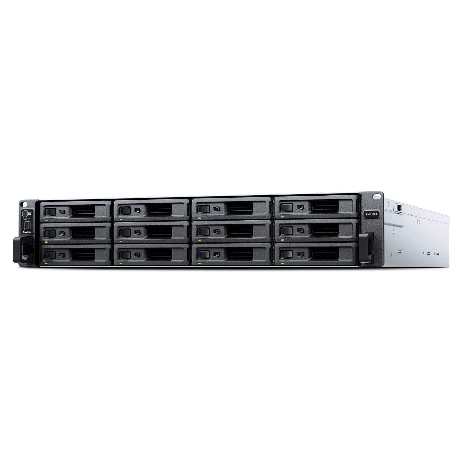 Synology RX1225RP disk array Synology RX1225RP disk array