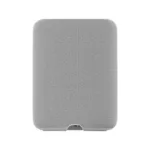 WiiM Sound LITE Twin Pack