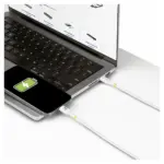 USB kabelis StarTech.com USB2EPR2MW, vaizdas 7