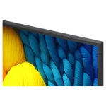 LG NanoCell AI 50NANO81A6A