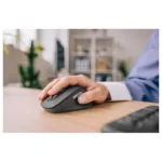 Logitech Signature Comfort Plus M850 L mouse
