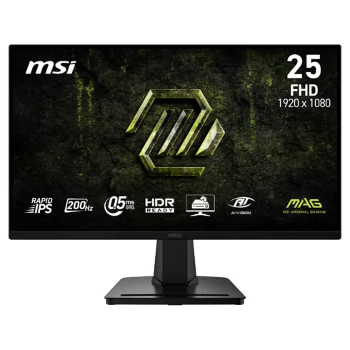 Monitorius MSI MAG 256F E20 (9S6-3BC2CM-077)
