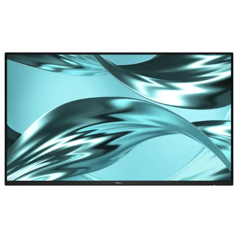 Monitorius DELL Pro P P2426H WOST