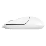 Pelė Conceptronic REGAS02W, vaizdas 6