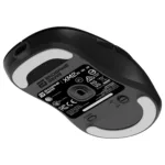 Endgame Gear XM2w 4k v2 mouse