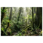 Stacionarus kompiuteris HP EliteDesk 8 Mini G2a RYZ AI 5 435/16GB/512SSD/W11 Pro (DL8X4ET#ABD), vaizdas 18