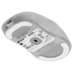 Endgame Gear XM2w 4k v2 mouse