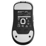 Endgame Gear OP1W 4K V2 mouse