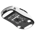 Endgame Gear OP1W 4K V2 mouse