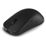 Endgame Gear OP1W 4K V2 mouse
