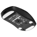 Endgame Gear OP1W 4K V2 mouse