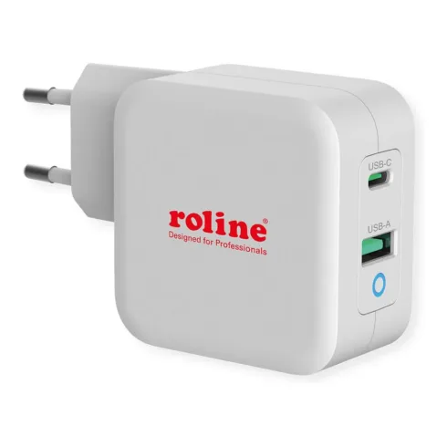 USB Charger mit Euro-Stecker 2 Port (Typ-A QC3.0 Typ-C PD) 65W