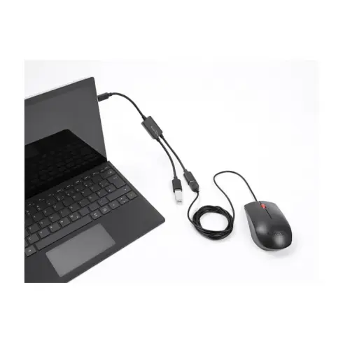 USB laidas ar adapteris Delock 2 Port USB 5 Gbps Typ-A Kabel-Hub mit USB Type-C Anschluss 25 cm (64373)