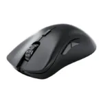 Glorious Gaming Model D 2 PRO Wireless mouse