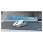 Belaidė pelė Glorious Gaming Model D, vaizdas 8
