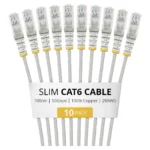 StarTech.com N6PAT100CMGRS10PK networking cable
