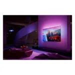 Philips Ambilight 65OLED811/12 TV