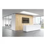 Neomounts WL30S-950BL19 TV mount/stand