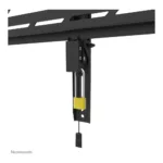 Neomounts WL30S-950BL19 TV mount/stand