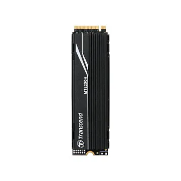 SSD diskas Transcend MTE250H (TS1TMTE250H)