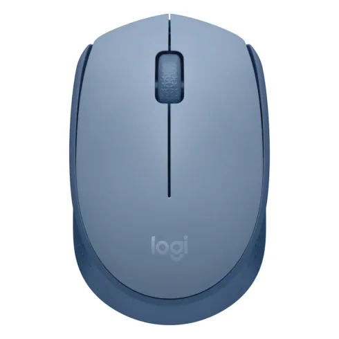 Logitech M171 mouse