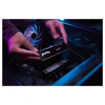 Kingston Technology FURY Beast RGB memory module