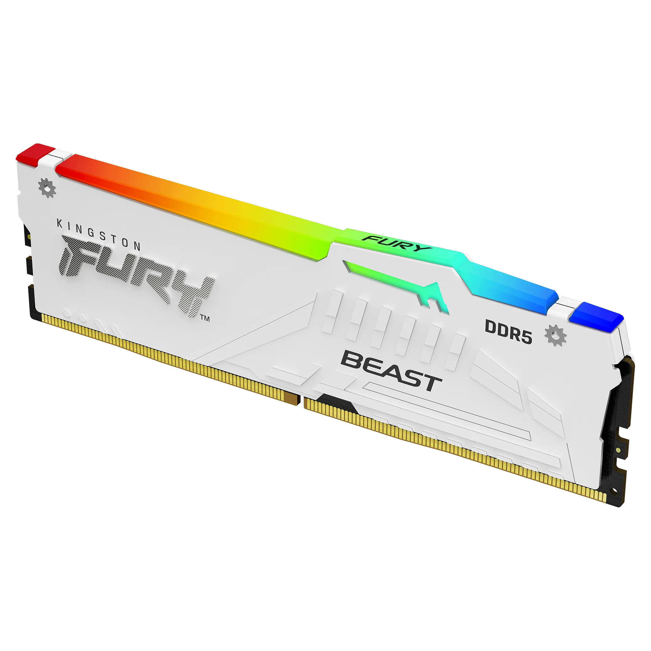 Kingston Technology FURY Beast RGB memory module Kingston Technology FURY Beast RGB memory module