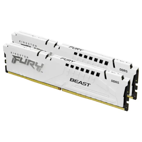 Kingston Technology FURY Beast memory module