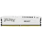 Kingston Technology FURY Beast memory module