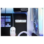 Kingston Technology FURY Beast memory module