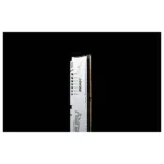 Kingston Technology FURY Beast memory module