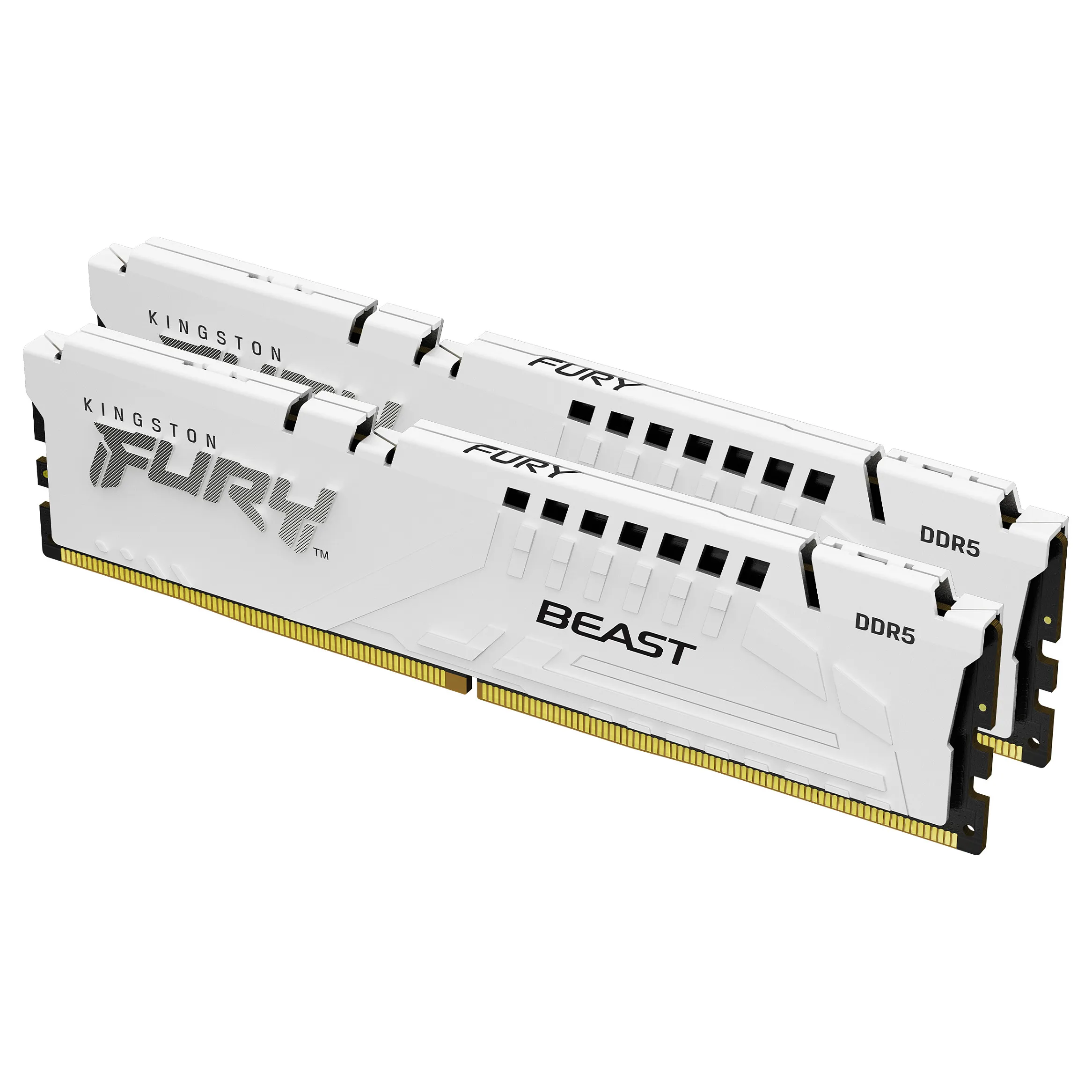 Kingston Technology FURY Beast memory module Kingston Technology FURY Beast memory module