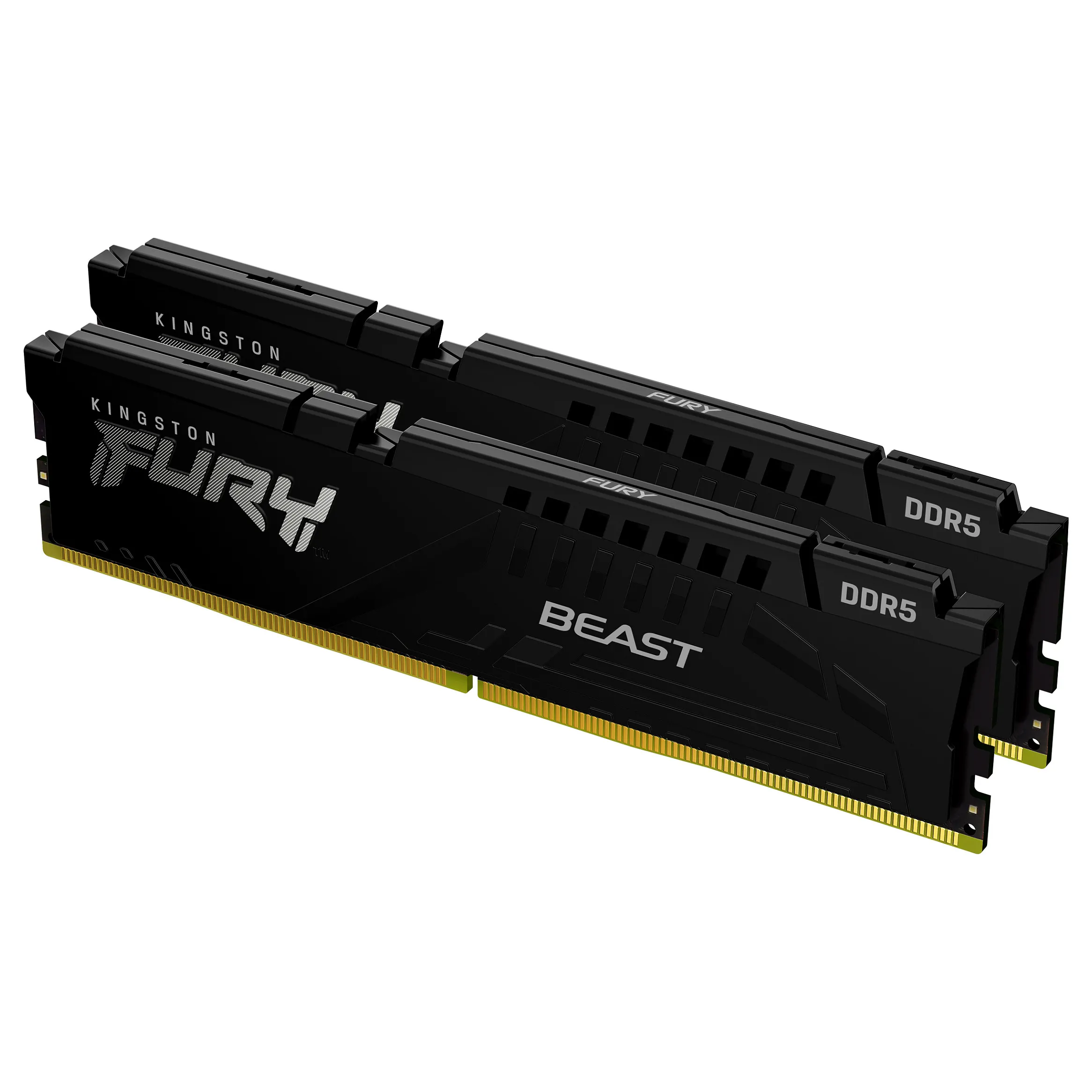 Kingston Technology FURY Beast memory module Kingston Technology FURY Beast memory module