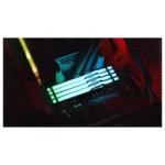 Kingston Technology FURY Beast RGB memory module