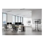 Monitoriaus laikiklis Neomounts NM-D775DXBLACK, vaizdas 17