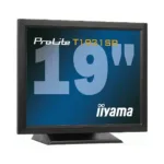 Monitorius Iiyama 48cm (19") PL T1931SR-B1, vaizdas 2